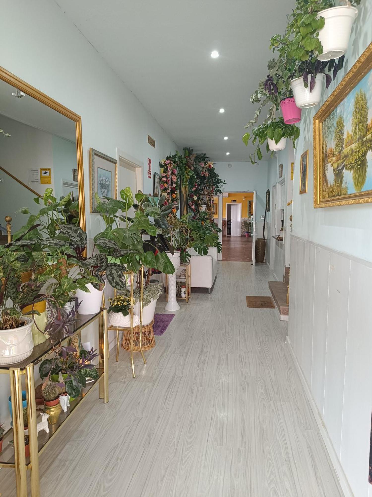 Hostal Fuente Del Pino Jumilla Exteriér fotografie